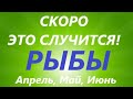 РЫБЫ♓таро прогноз на АПРЕЛЬ, МАЙ, ИЮНЬ🌷 второй триместр года! Главные события периода!