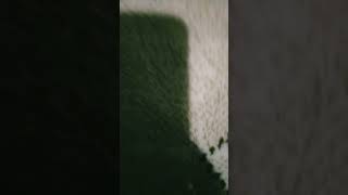 12 Eylül 2022 Resimi