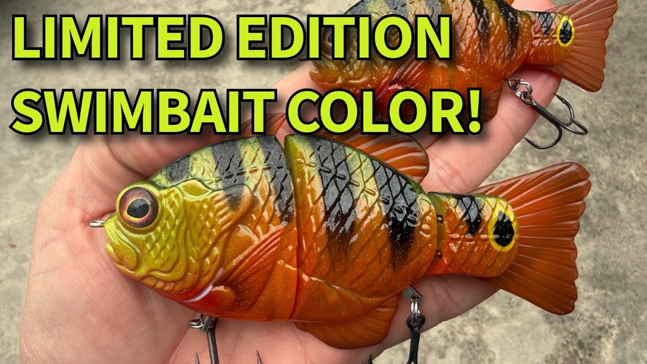 Exclusive Synch Swimbait Color Drop (Only 300 Made!)