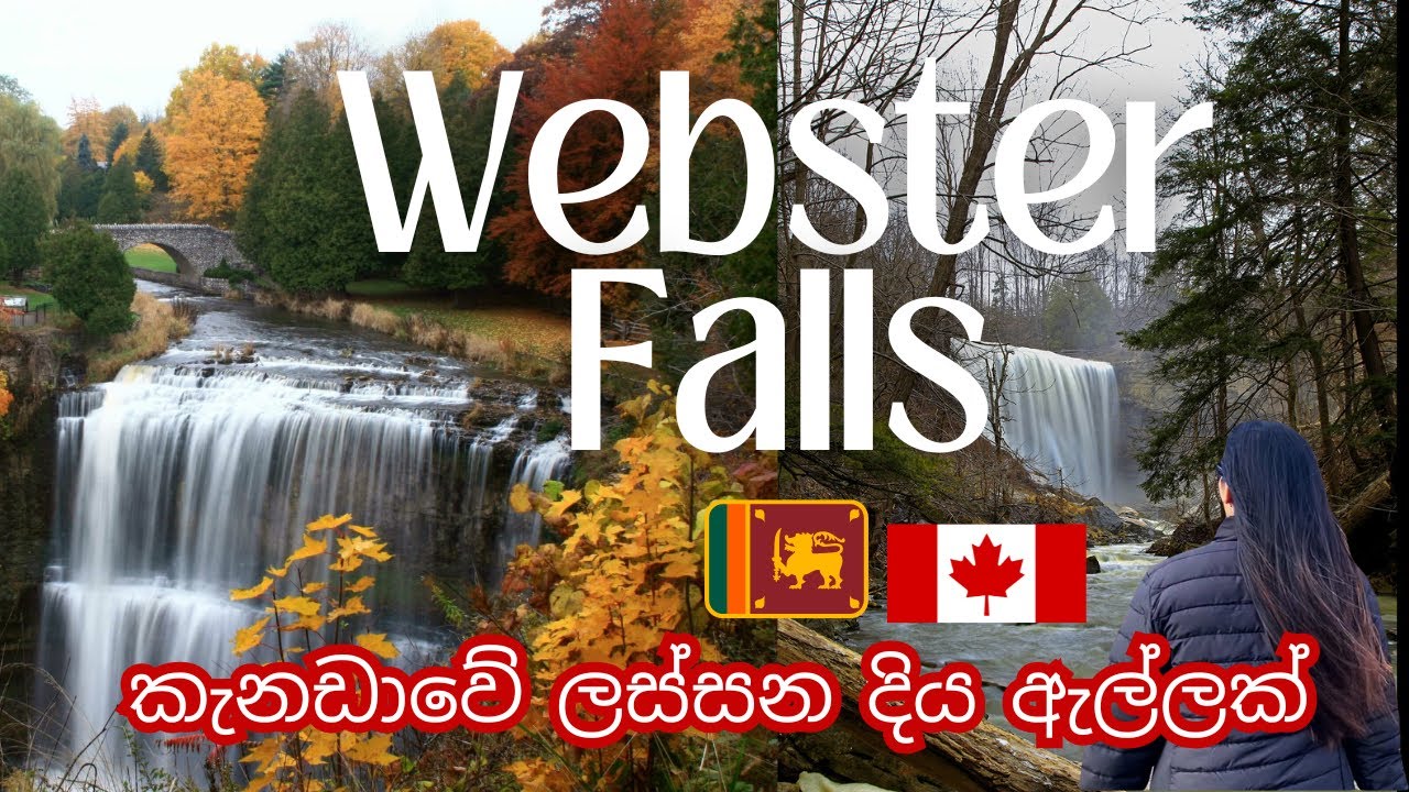 Webster Falls: Canada’s Hidden Beauty – කැනඩාවේ ලස්සන දියඇල්ලක් 🌊 | Sinhala Vlog