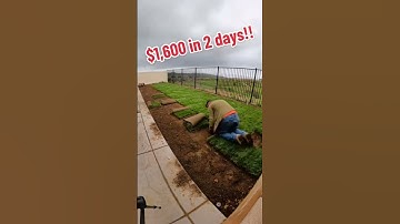 Quick Sod Installation! #landscaping #hardscaping