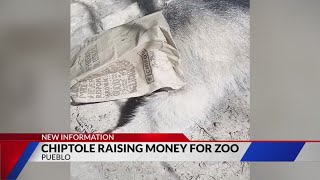 Mention the zoo at Pueblo Chipotle to help raise funds