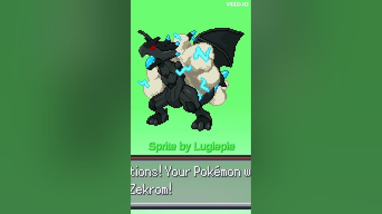 Zekrom Fusion Compilation! Legendary Fusions! Pokémon Infinite Fusion! 