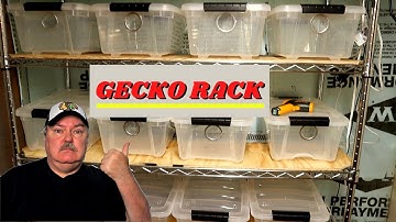 Building a Gecko Rack | Supreme Gecko Facility Tour  #2 New Gecko Rack