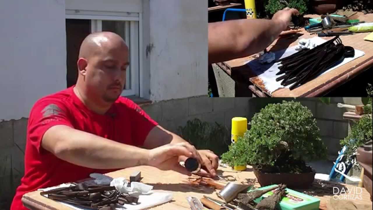 Escuela de Bonsai Online - Mantenimiento y reparación de herramientas bonsai bosque de la armonia
