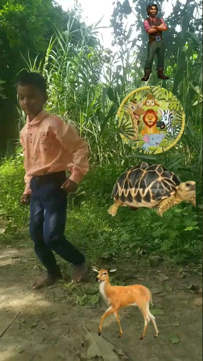 jungal book shorts story vidwm #shorts #vfx #vfxgaurav #funny #bestvfx #memes #visualfx #jokesmemes