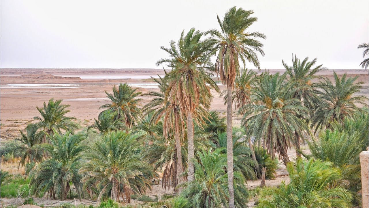 جديد السهرات السوفية  2021 الأغنية السوفية التي يبحث عنها الجميع 