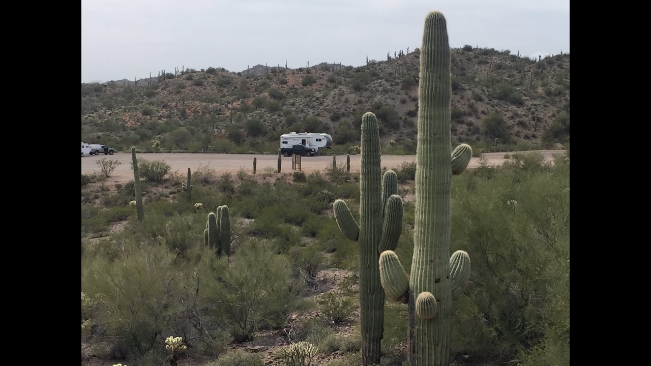 Wickenburg, AZ Box Wash  Vulture Peak Free BLM Camping