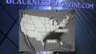 The Black Codes