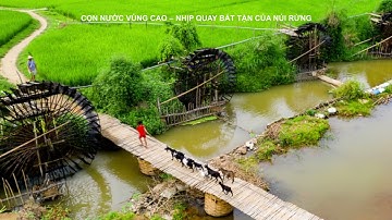 CỌN NƯỚC VÙNG CAO – NHỊP QUAY BẤT TẬN CỦA NÚI RỪNG