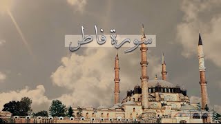 [ سورة فاطر ] | هاني الرفاعي .