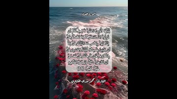 سورة النسآء ١٩ #قرآن #قرآن_كريم #قران #قران_كريم #قرأن #quran