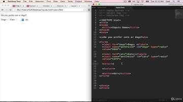 10  Dropdowns and Radio Buttons