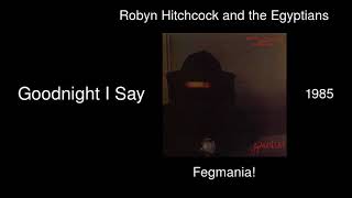 Video thumbnail of "Robyn Hitchcock and the Egyptians - Goodnight I Say - Fegmania! [1985]"