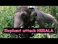 sabarimala  elephant  attack  police  bike