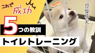 【豆柴子犬トイレトレーニング】成功したつの教訓