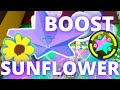 So i did a sunflower boost  roblox bee swarm simulator