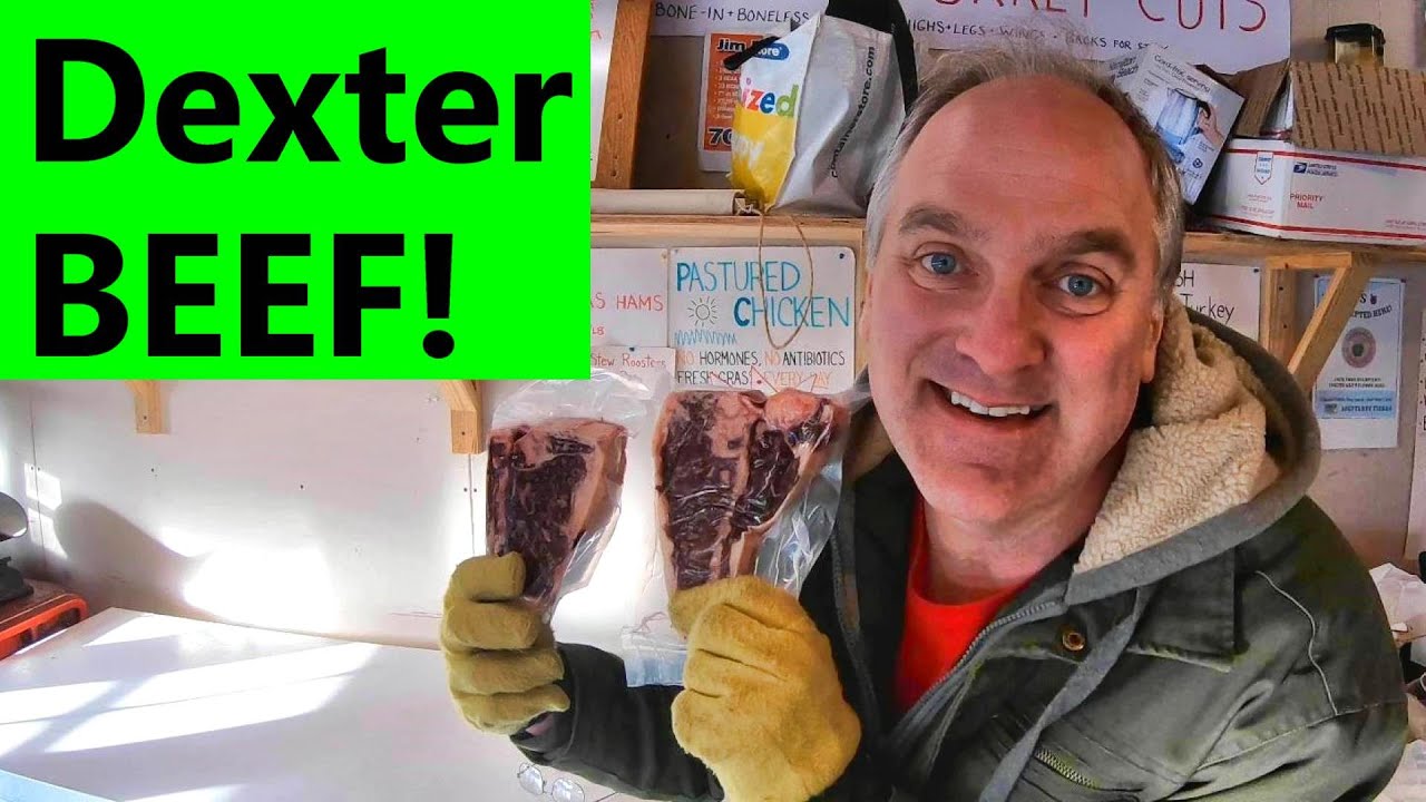Dexter beef cuts - YouTube