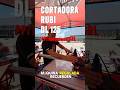 Cortadora electrica RUBI DL125 | PPi maquinas SRL | Detalle por Detalle