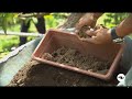 Así se desarrolla un exitoso proyecto de agricultura orgánica en San Andrés - La Finca de Hoy