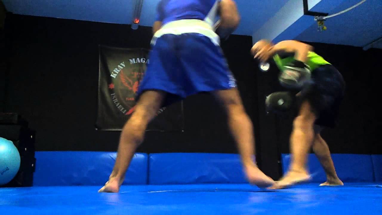 Wing Revolution 01.mp4