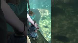 Fun day at the aquarium 🙌🏼