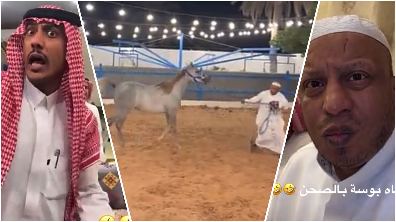 ولله مايشتري بس هياط 😂