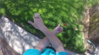 RingDama: Getting Started