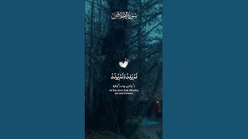 سوره الاخلاص، قران، قران راحه نفسيه #قرآن #القرآن_الكريم #quran @أجملتلاواتالقرآنالكريم-ض8ظ