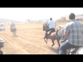 Encierro a caballo Royuela 2013 Primer Encierro