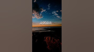 القارئ •  نايف الفيصل#قرآن #اكسبلور #المصحف #لايك #إستمع #