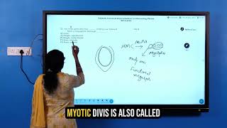Embryo Sac Formation in Ovules: Single Sac through Mitotic Division | Class 12 Biology NoMoreClass