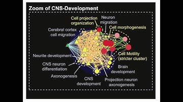 Introduction to Pathway and Network Analysis of Gene Lists