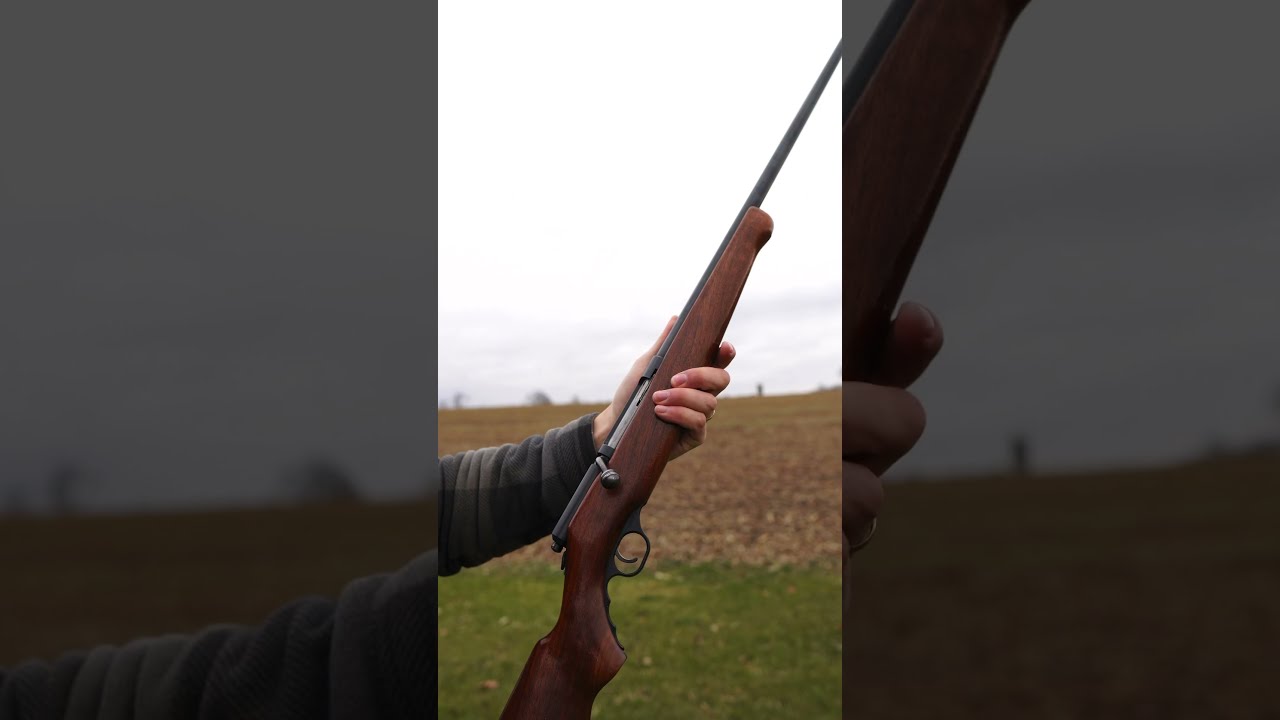 Mossberg 173 Bolt Action 410 Shotgun