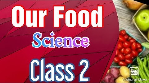 class 2 evs l our food l food song