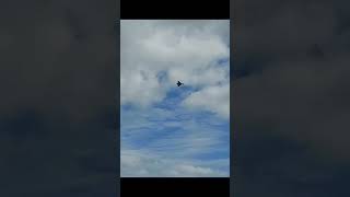 Typhoon 30.05.2026/31.05.26 #airshow #avation #typhoon #fighterjet #fyp #seaside