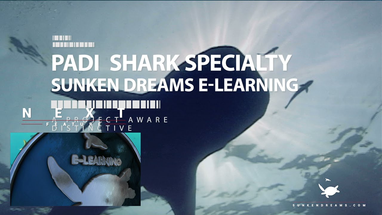PADI AWARE / SSI Shark Specialty