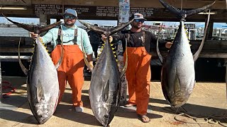 500 LBS in 30 MINUTES | EPIC Tuna {Catch, Clean, & Cook}