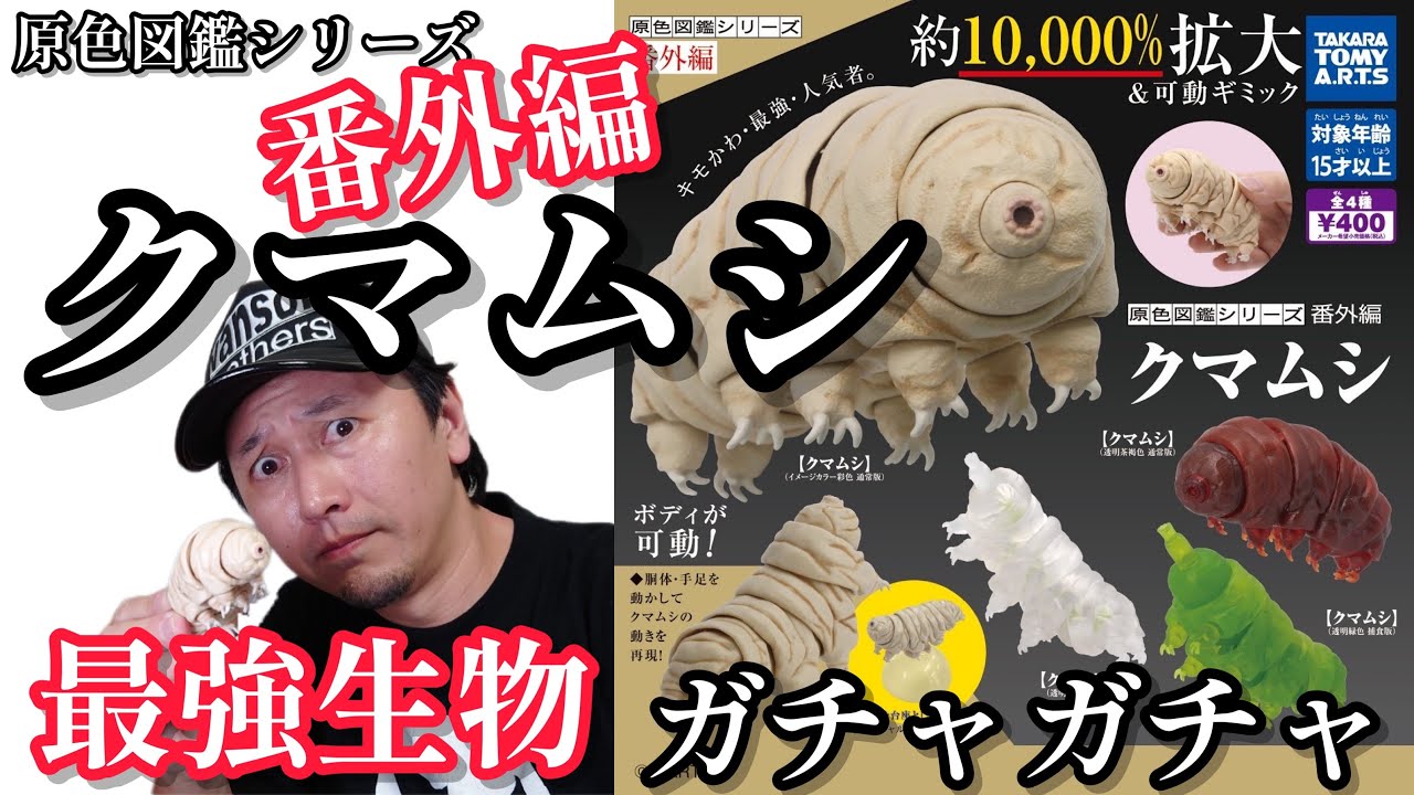 ガチャガチャ】地球上1600万種最強の生物！『クマムシ』が凄すぎる