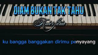 Download Lagu karaoke DIAM BUKAN TAK TAHU nada cewek MP3