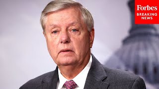 'Have We Learned Nothing?': Lindsey Graham Knocks Those Who Want Ukraine To Cede Territory To Russia