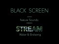 Forest Stream Nature Sounds-Black Screen Water & Birdsong Sleep/Study Relaxing Sound-Dark Screen