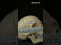 1880s: Mugshots और Criminal ID System का जन्म | Alphonse Bertillon की कहानी #scienceshorts #facts