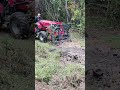 Clearing a Deer Viewing Lane.