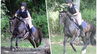 How to Introduce Young Horses to X-Country Fences