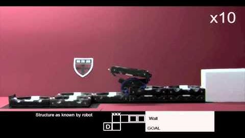 TERMES Project: Adaptive Staircase