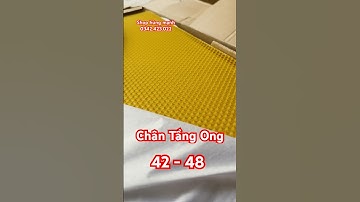 🔥 Chân Tầng Ong 42 & 48 – Dẻo, Ong Xây Nhanh, Bảo Quản Lâu | Sỉ & Lẻ Toàn Quốc! #shorts