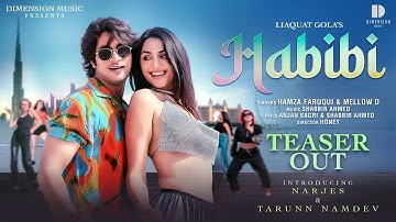 HABIBI Song Teaser | Hamza Faruqui, Mellow D | Shabbir Ahmed | Tarun Namdev, Narjes | New Song 2025