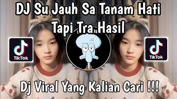 DJ SU JAUH SA TANAM HATI TAPI TRA HASIL | DJ NAN KO PAHAM VIRAL TIKTOK TERBARU 2025 !