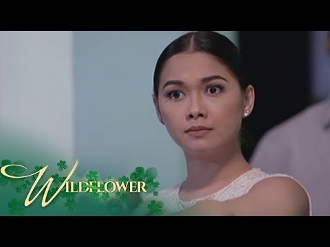 Wildflower Ako Si Lily Cruz At Wala Akong Pakialam Kung Sinong Poncio Pilato Ka Man EP 202